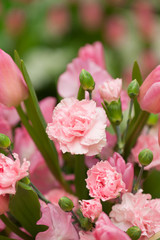 カーネーション