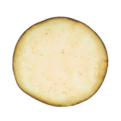 Eggplant section cut slice isolated