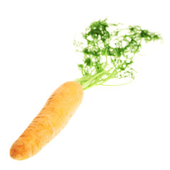Unpeeled carrot with the green top isolated