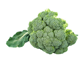 Green broccoli isolated