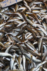 white bait small fish on ice at fishmonger