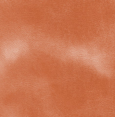 brown leather texture