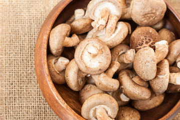 Fresh mushrooms in bowl on wooden background
