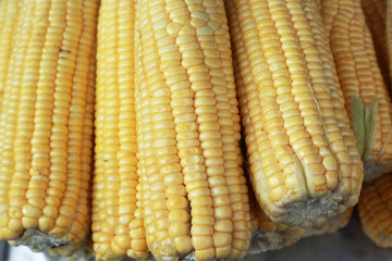 Fresh sweet corn in the market