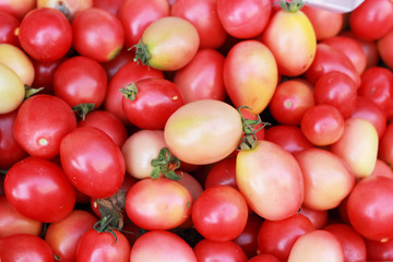 fresh tomatoes in the market