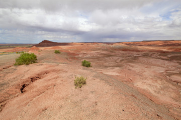 collines rouges d'Arizona