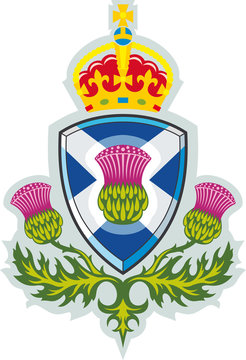 Scottish thistle .Symbol of Scotland