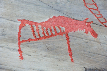 Rock art of Alta