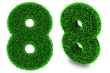 Number eight made of grass