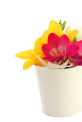 Beautiful freesia flowers  in bucket isolated on white