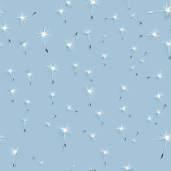 Dandelion wind in grass