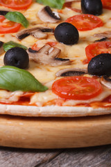 pizza with olives, champignons tomatoes and basil