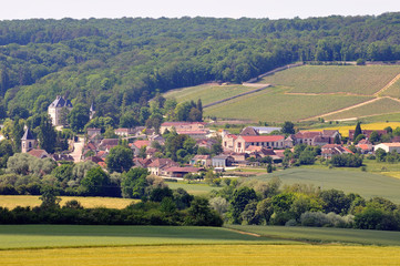 Village de Bligny (Aube)