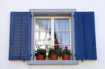 window with blue shutters and flower pots, Switzerland.