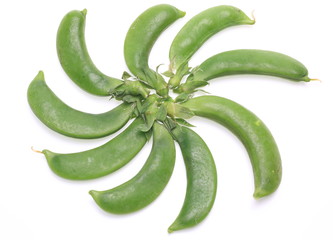 エンドウ豆