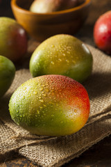 Organic Colorful Ripe Mangos