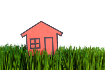House and green grass