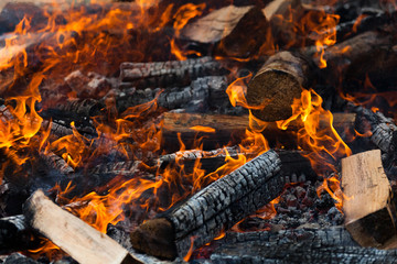 Burning Log