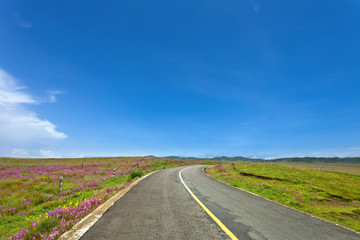 Fototapeta na wymiar asphalt road through the green field and clouds on blue sky in s