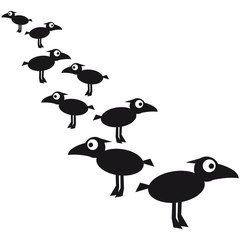 Many Ravens Birds Pattern
