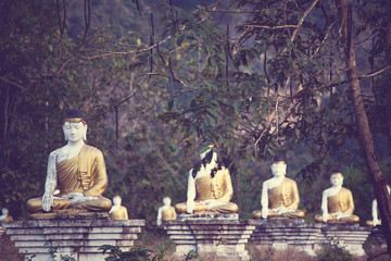 Buddhas garden