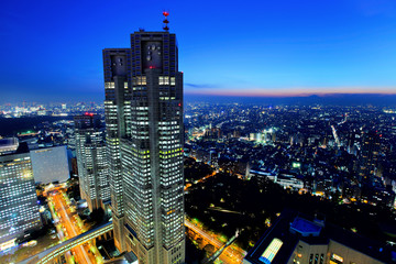 Obraz premium Tokyo cityscape at night