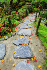 Pebble stone path with maple leaves in Japan garden
