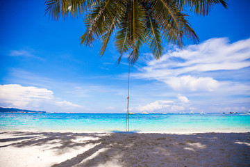 Rope swing on big palm tree at white sandy beach