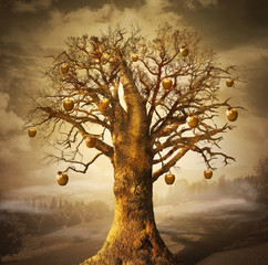 Magic tree with golden apples. - 61259994