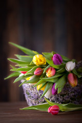 Dekoration mit frischen Tulpen