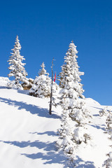 Winter in alps