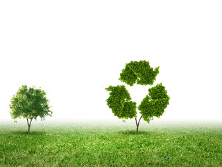 Greenery concept