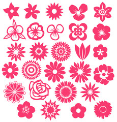 Set of Vector Flowers