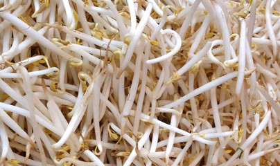 bean sprouts