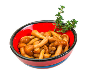 Armillaria