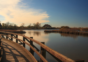 Fototapeta premium Nature reserve of Valle canal Novo