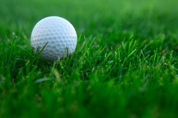 golf ball