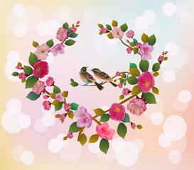 Love birds, sakura, spring, Valentine's Day.