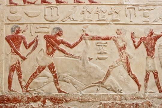 An ancient egyptian relief in Saqqara.