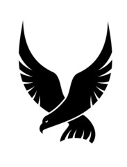 Swooping falcon bird
