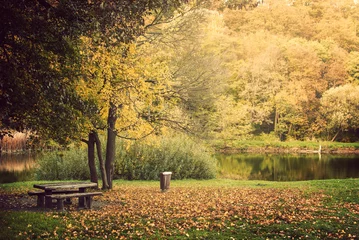 Photo sur Plexiglas Automne Autumn park