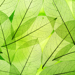 Naklejka na ściany i meble Green leaves background.