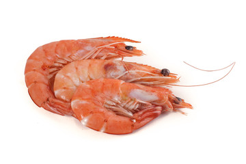 gamba