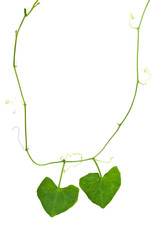Nature heart necklace