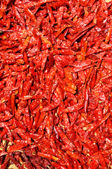 Spicy red pepper