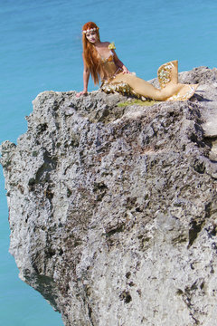 mermaid on the rock