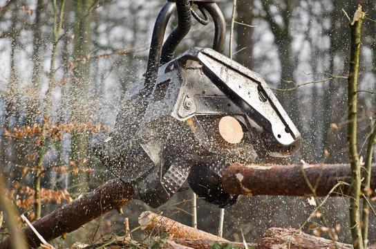 Arbeitskopf eines Holzvollernters