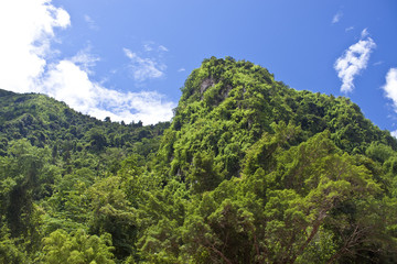 Hills in northern Laos