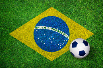 Fußball WM Weltmeisterschaft 2014 Brasilien - Fahne auf Rasen