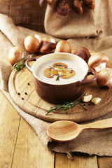 Composition with mushroom soup in pot, fresh and dried